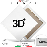 3D Сликарско платно на рамка PROFI - 1