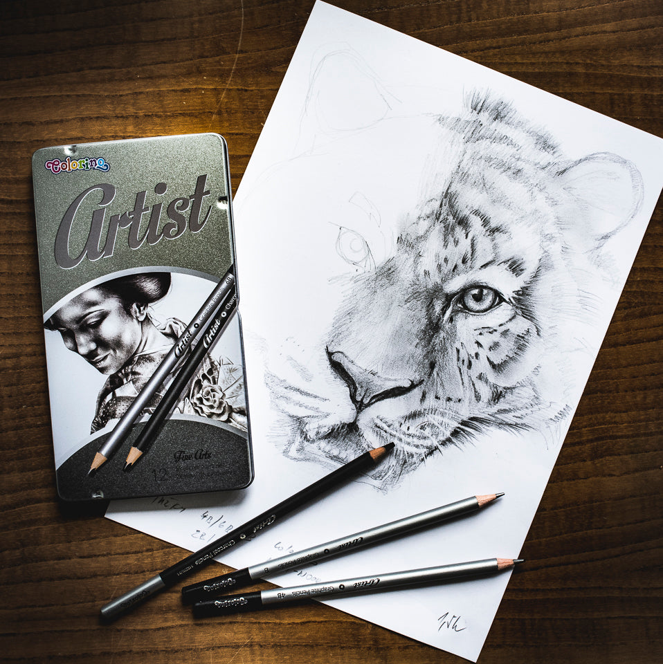 Colorino Artist сет за цртање со графитни моливи и јаглени во метална кутија
