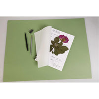 Хербариум CLAIREFONTAINE 180 g/m² 21 x 21 cm - 32 листови