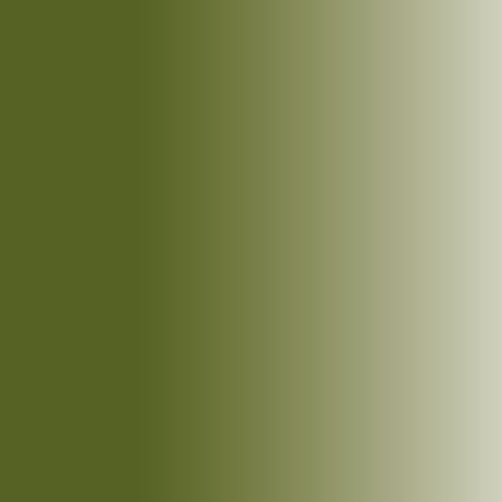 Маслена боја Daler-Rowney GEORGIAN 38 ml - 25