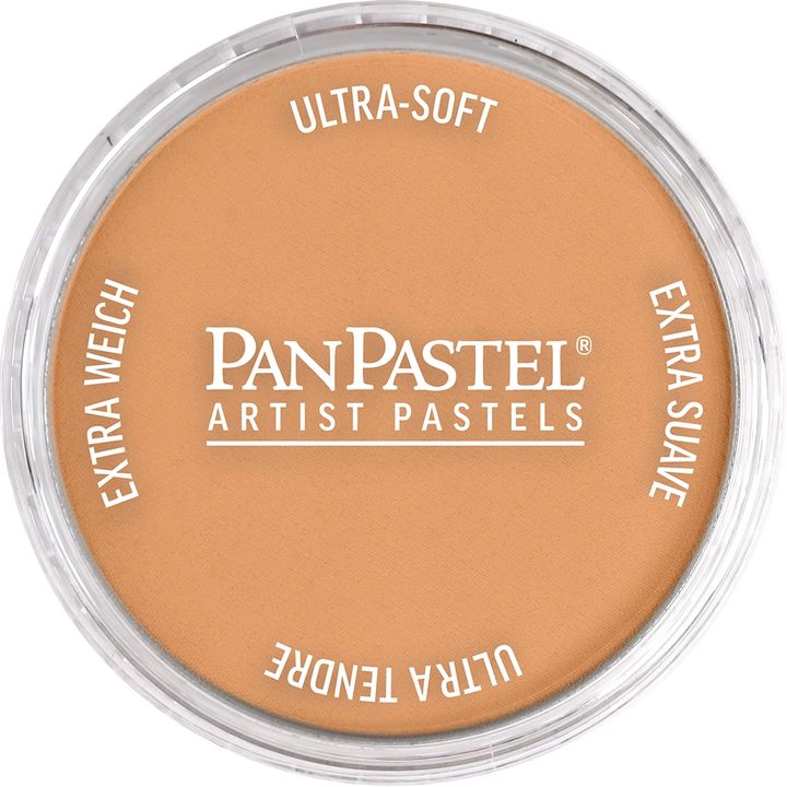 PanPastel Metallic Dry Pastel 9 ml - 6