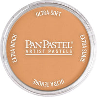 PanPastel Metallic Dry Pastel 9 ml - 6