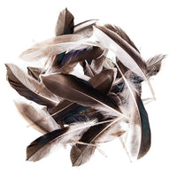 Патешки пердуви 10 - 15 cm, 10 g