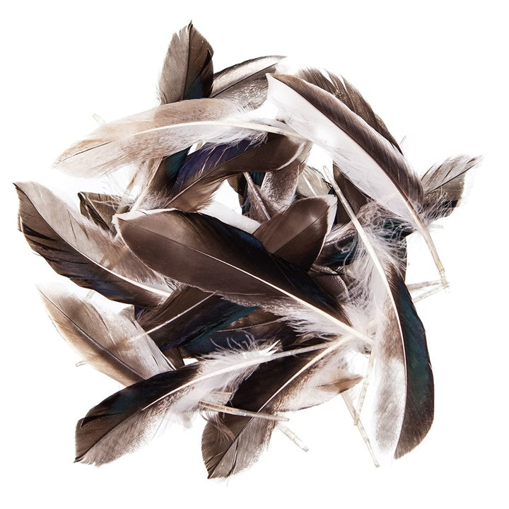 Патешки пердуви 10 - 15 cm, 10 g
