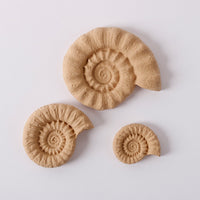 Pentart Elastic wood Shell set школки 6,5 x 5,5 cm 3 пар.