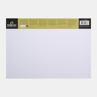 Блок за скицирање ROYAL TALENS Rembrandt Toned Industrial Grey 180 g - 50 листови, A3