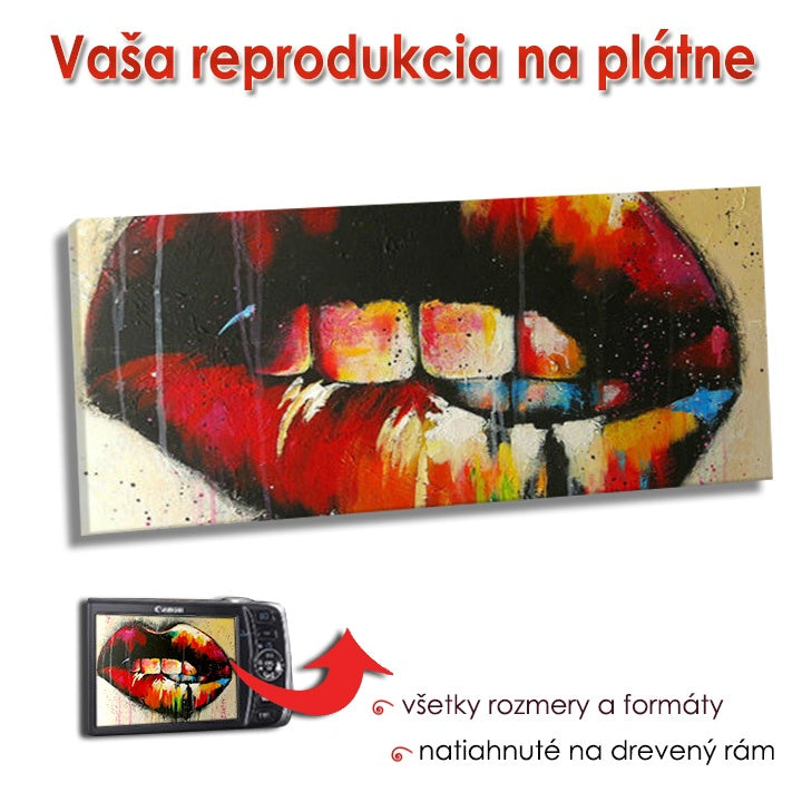 Репродукција на платно - ПАНОРАМА