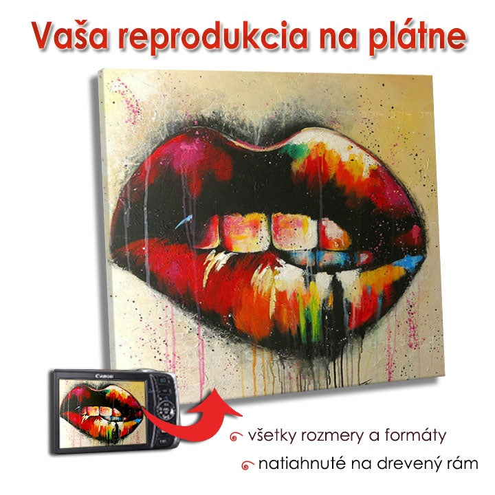 Репродукција на платно - ПЛОШТАД