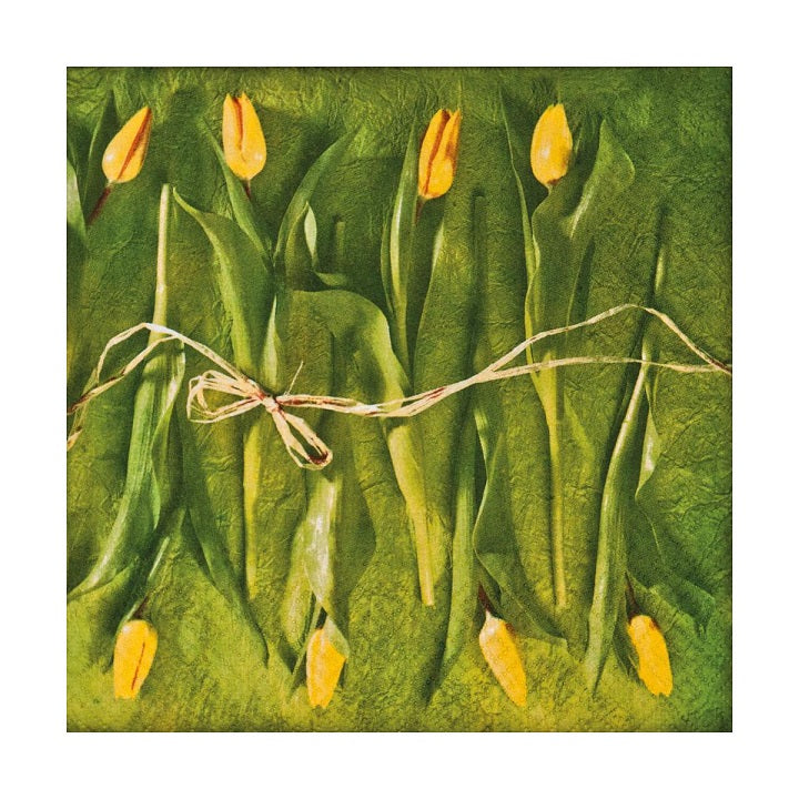 Салфетки за декупаж Fresh Tulips - 1 парче