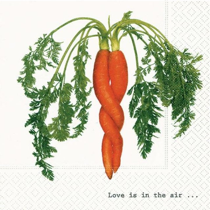 Салфетки за декупаж Intertwined Carrot - 1 парче