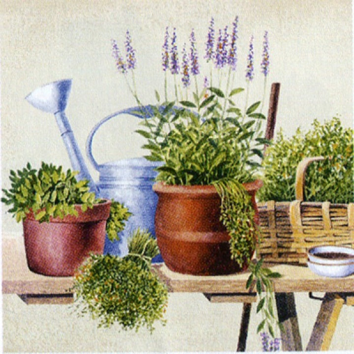 Салфетки за декупаж Potting Herbs - 1 парче