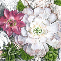 Салфетки за декупаж Succulent Plants and Stones Composition - 1 парче