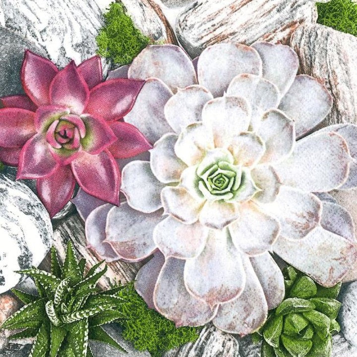 Салфетки за декупаж Succulent Plants and Stones Composition - 1 парче