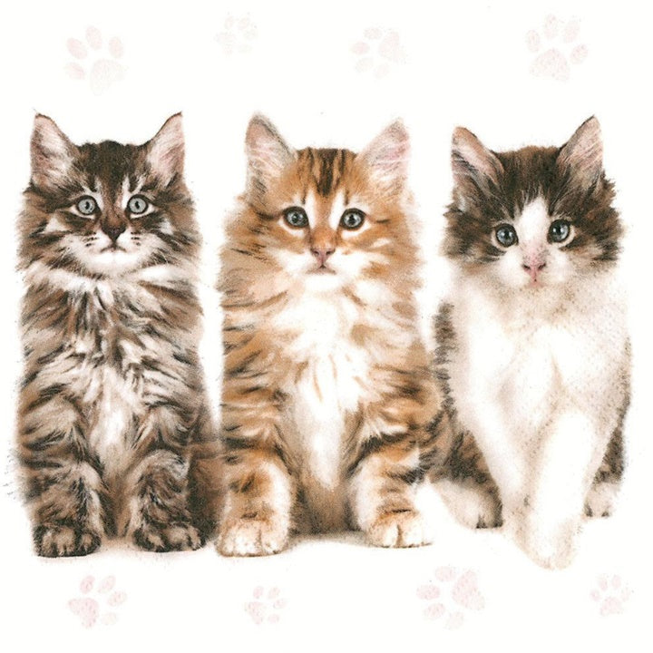 Салфетки за декупаж Tree Beautiful Cats - 1 бр.