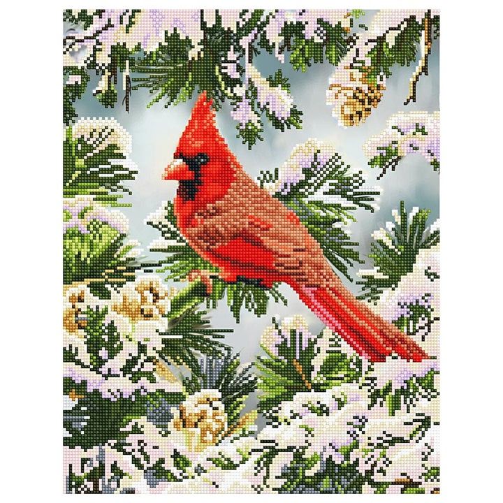 Сет со монистра Diamond Painting - Црвен кардинал во зима 35,5 х 45,5