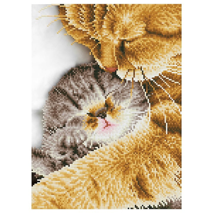 Сет со монистра Diamond Painting Нежен момент 30 x 41