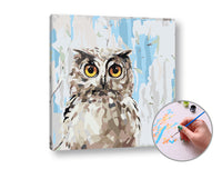Сликање по бројки MUDRA Owl - 1