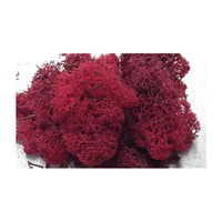 Стабилизиран Исландски мов 500 g - 2