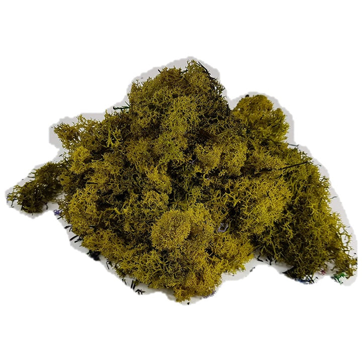 Стабилизиран Исландски мов 500 g - 4