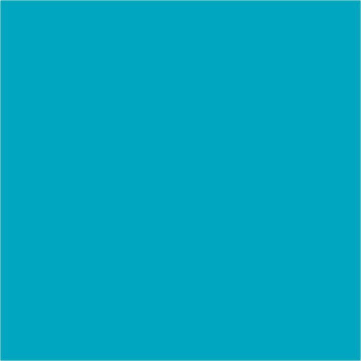 Течни пигменти Pentart 10 ml - 5