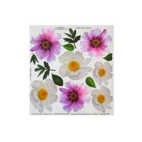 Термофолија за техниката sospeso trasparente 23x24 cm Peony