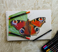 Posca KPA-100 24C восочни пастели, сет, микс бои