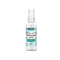 Заштитен лак во спреј PENTART 60ml